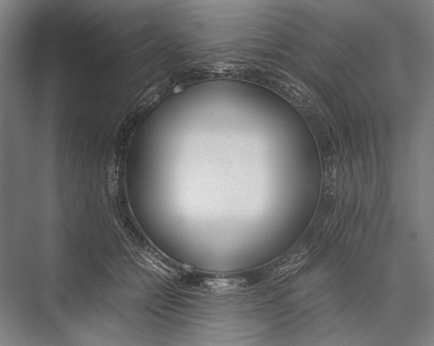 X0000075390558200610061907