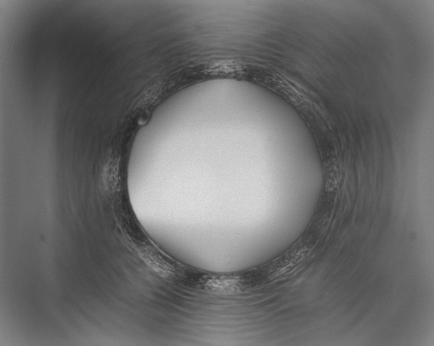 X0000075390560200610061907