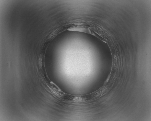 X0000075390562200610061908