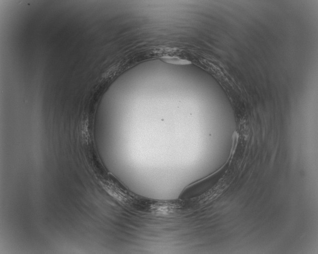 X0000075390564200610061908