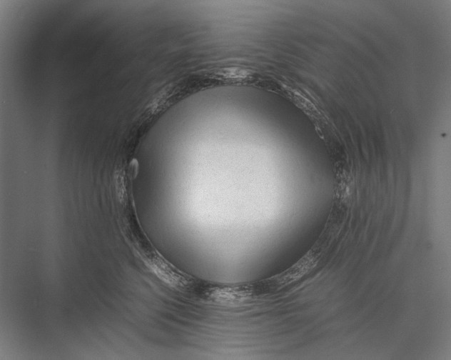 X0000075390568200610061908