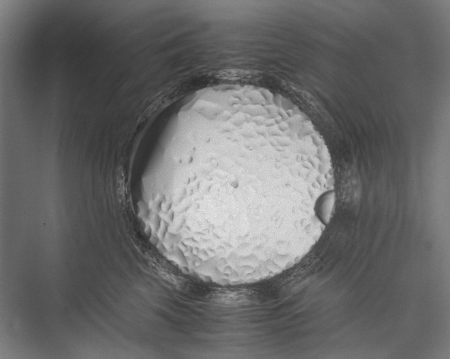 X0000075390569200610061908