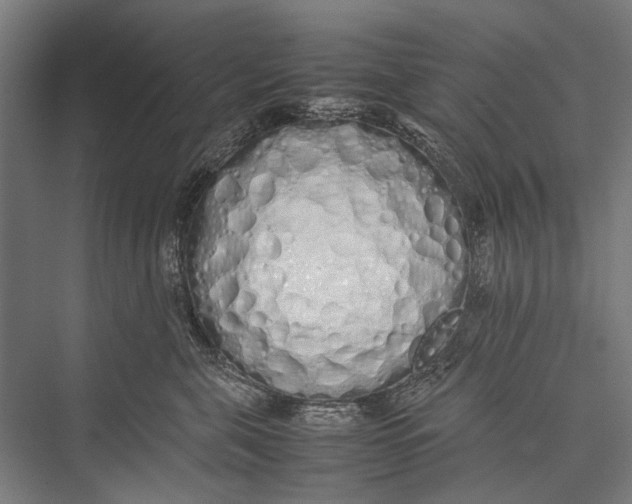 X0000075390571200610061908