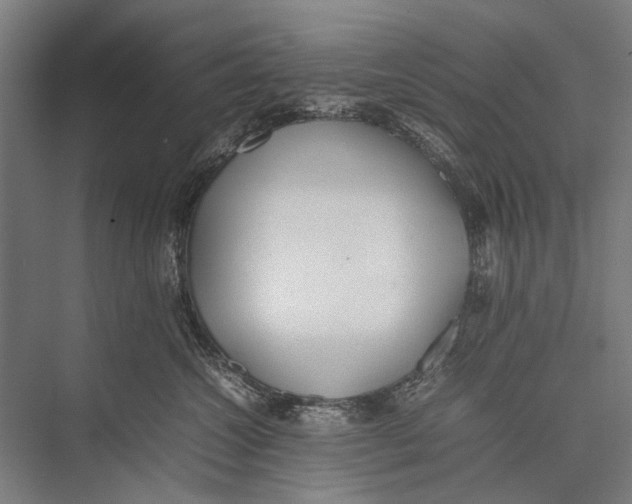 X0000075390572200610061908