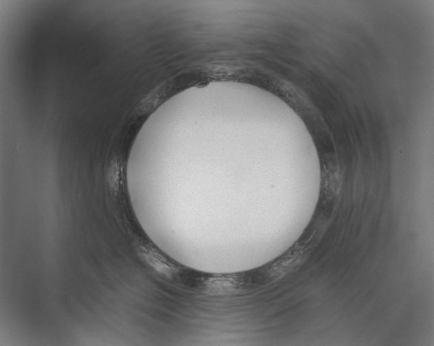 X0000075390574200610061908