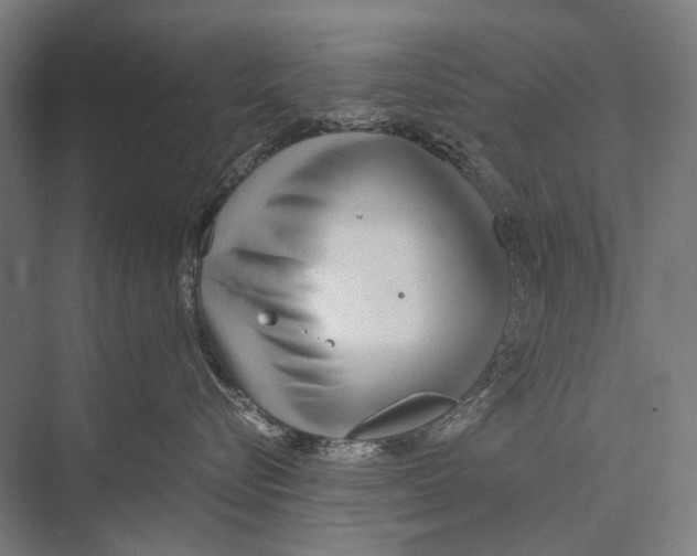 X0000075390576200610061908