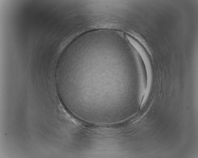 X0000075390577200610061907