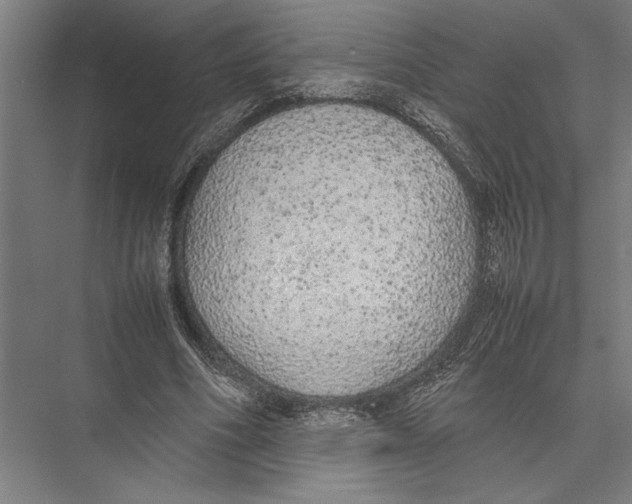 X0000075390586200610061907