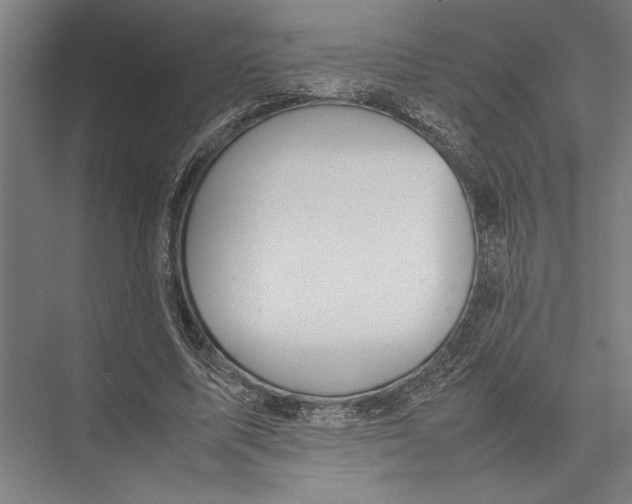 X0000075390587200610061907