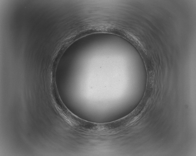 X0000075390589200610061907
