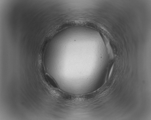 X0000075390593200610061907