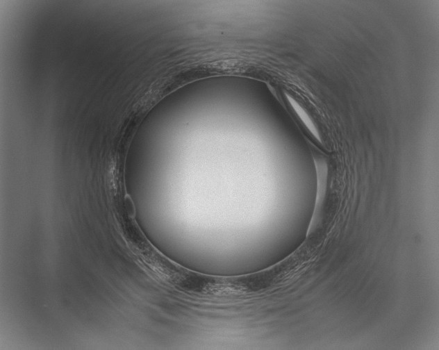 X0000075390597200610061907