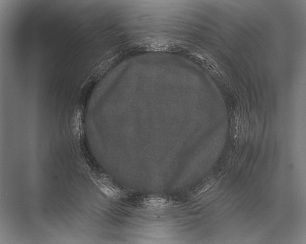 X0000075390598200610061907