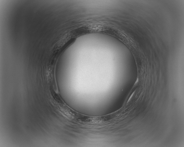 X0000075390601200610061907