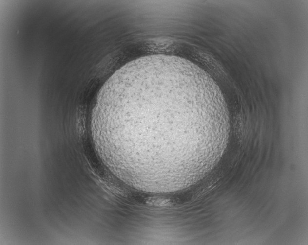 X0000075390602200610061907