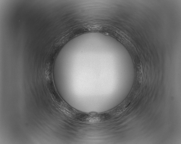 X0000075390604200610061906