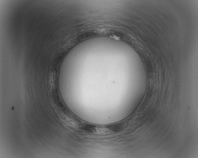 X0000075390605200610061906
