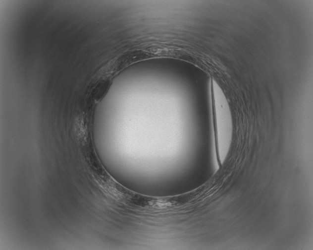 X0000075390607200610061906
