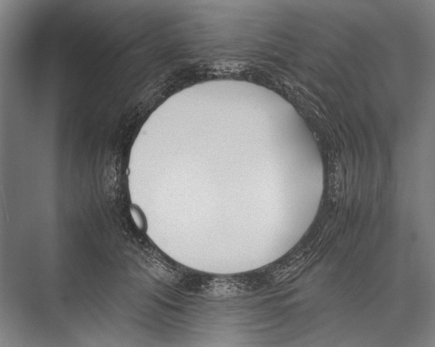 X0000075390608200610061906