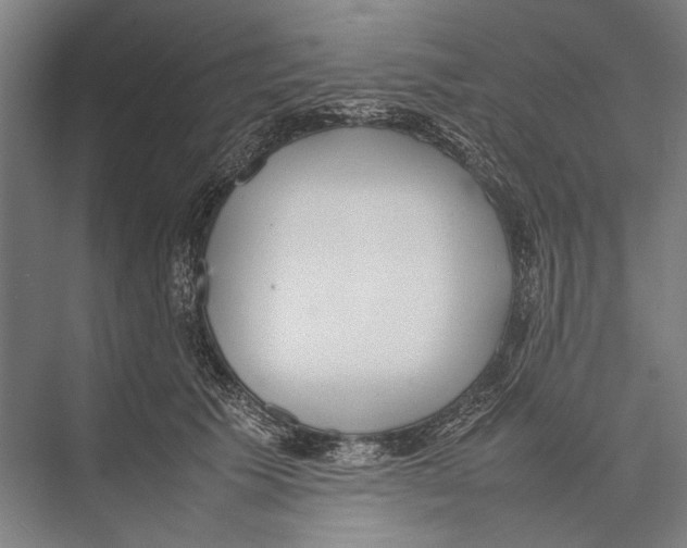 X0000075390609200610061906