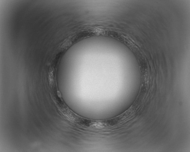 X0000075390611200610061906