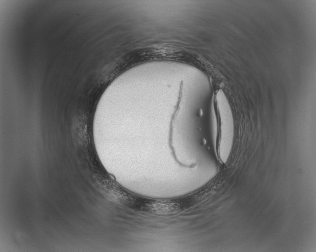 X0000075390615200610061906