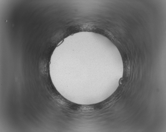 X0000075390619200610061906