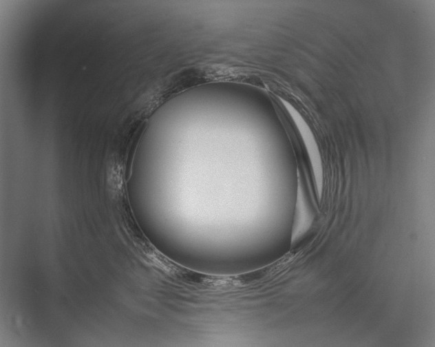 X0000075390621200610061906