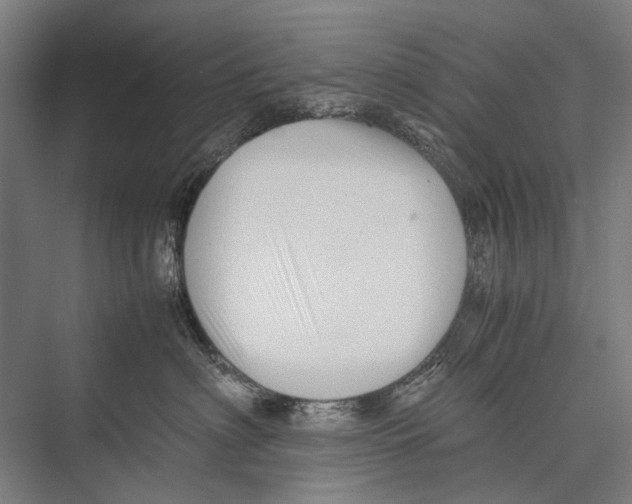X0000075390622200610061906