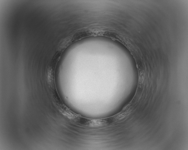 X0000075390623200610061906