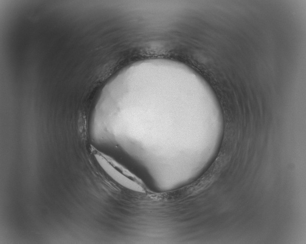 X0000075390624200610061906
