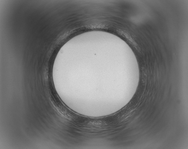 X0000075390631200610061905