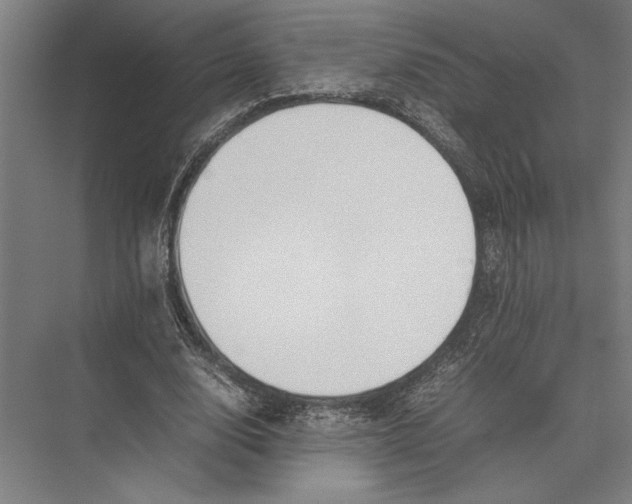 X0000075390632200610061905