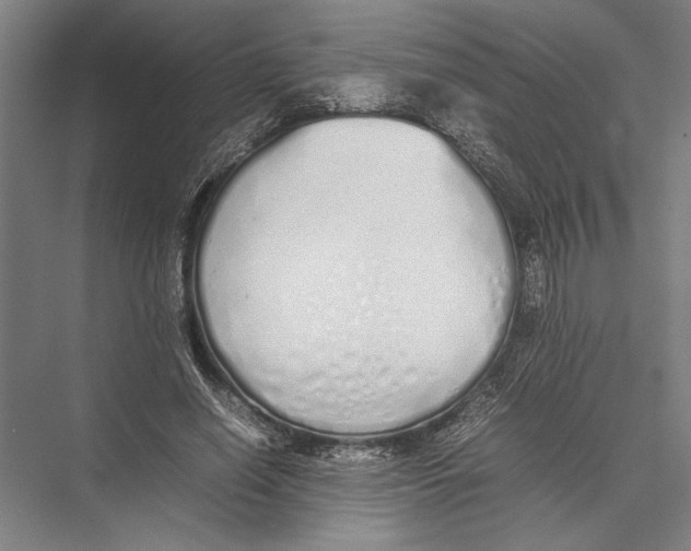 X0000075390638200610061906