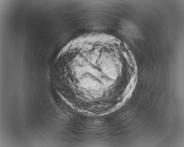 X0000075390643200610061906