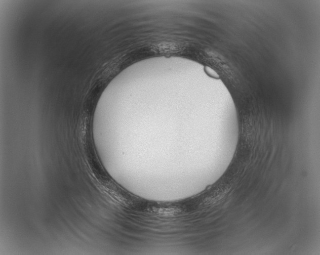 X0000075390645200610061906