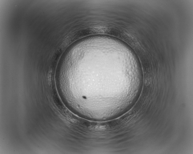 X0000075390647200610061906
