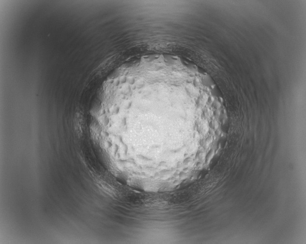 X0000075390648200610061906