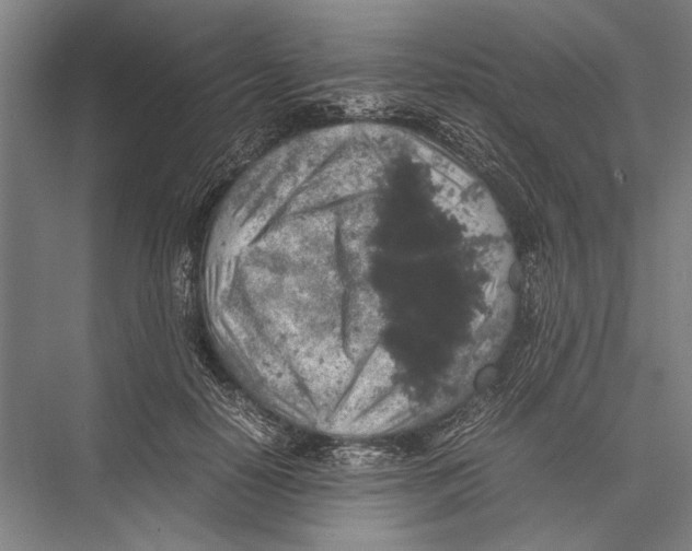 X0000075390650200610061906