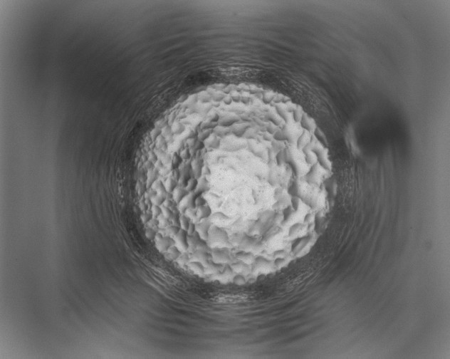 X0000075390653200610061906