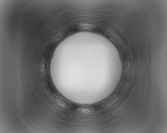 X0000075390655200610061906