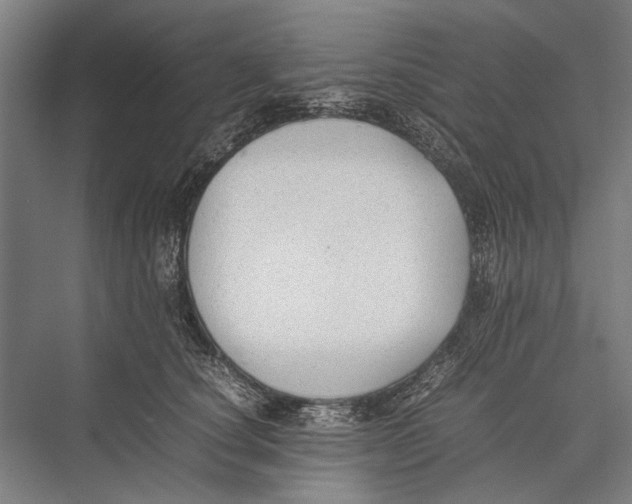 X0000075390660200610061906
