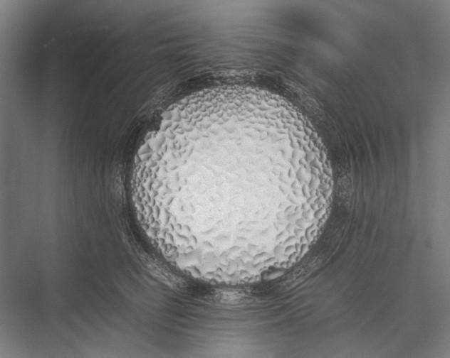X0000075390662200610061906