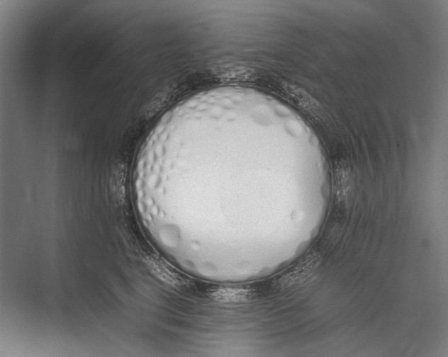 X0000075390664200610061906