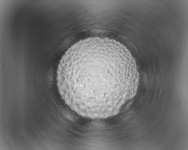 X0000075390668200610061906