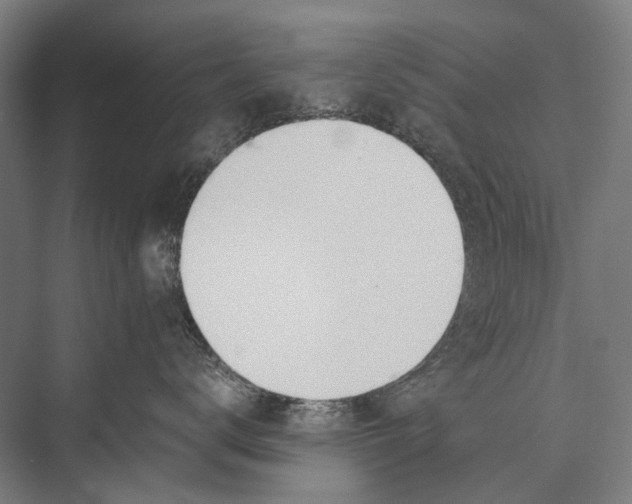 X0000075390672200610061906
