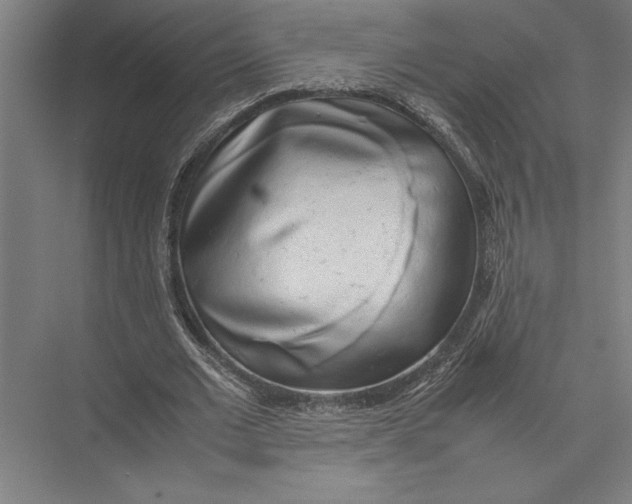 X0000075390677200610061905