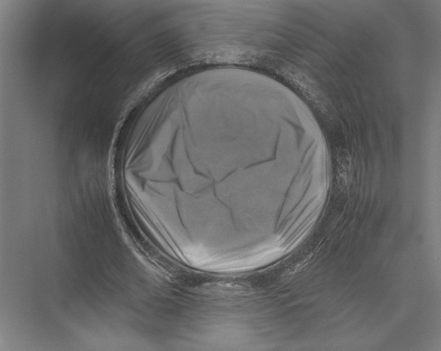 X0000075390678200610061905