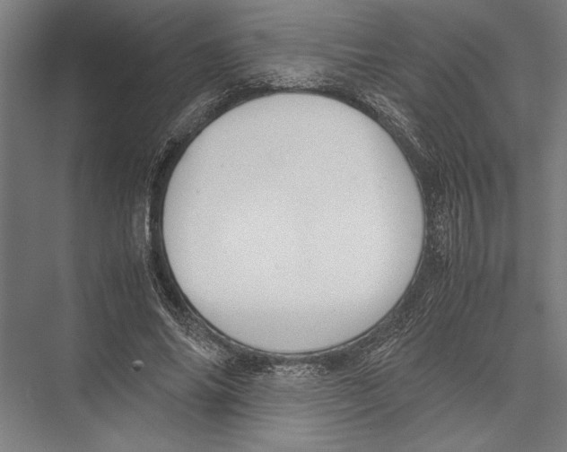 X0000075390686200610061905