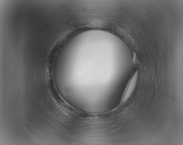 X0000075390688200610061905